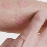 Captura de tela 2025-07-16 205026