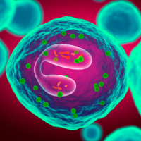 Captura de tela 2025-07-16 205719